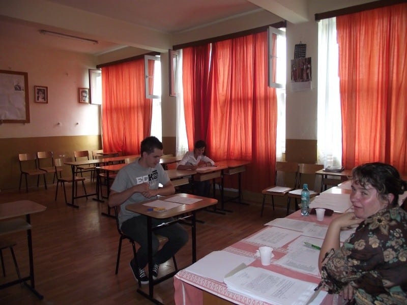 elevi