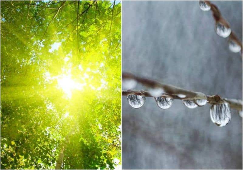 meteo, soare, ploaie