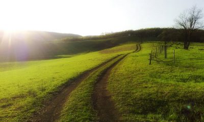 vremea prognoza meteo soare vreme