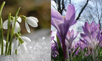 vremea prognoza meteo pe regiuni