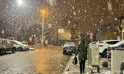 Ninge în județul Alba