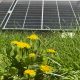 panouri fotovoltaice